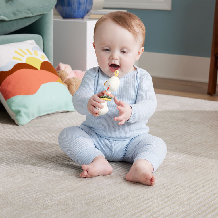 Smyslové hračky Fisher-Price – husa (HRB22)