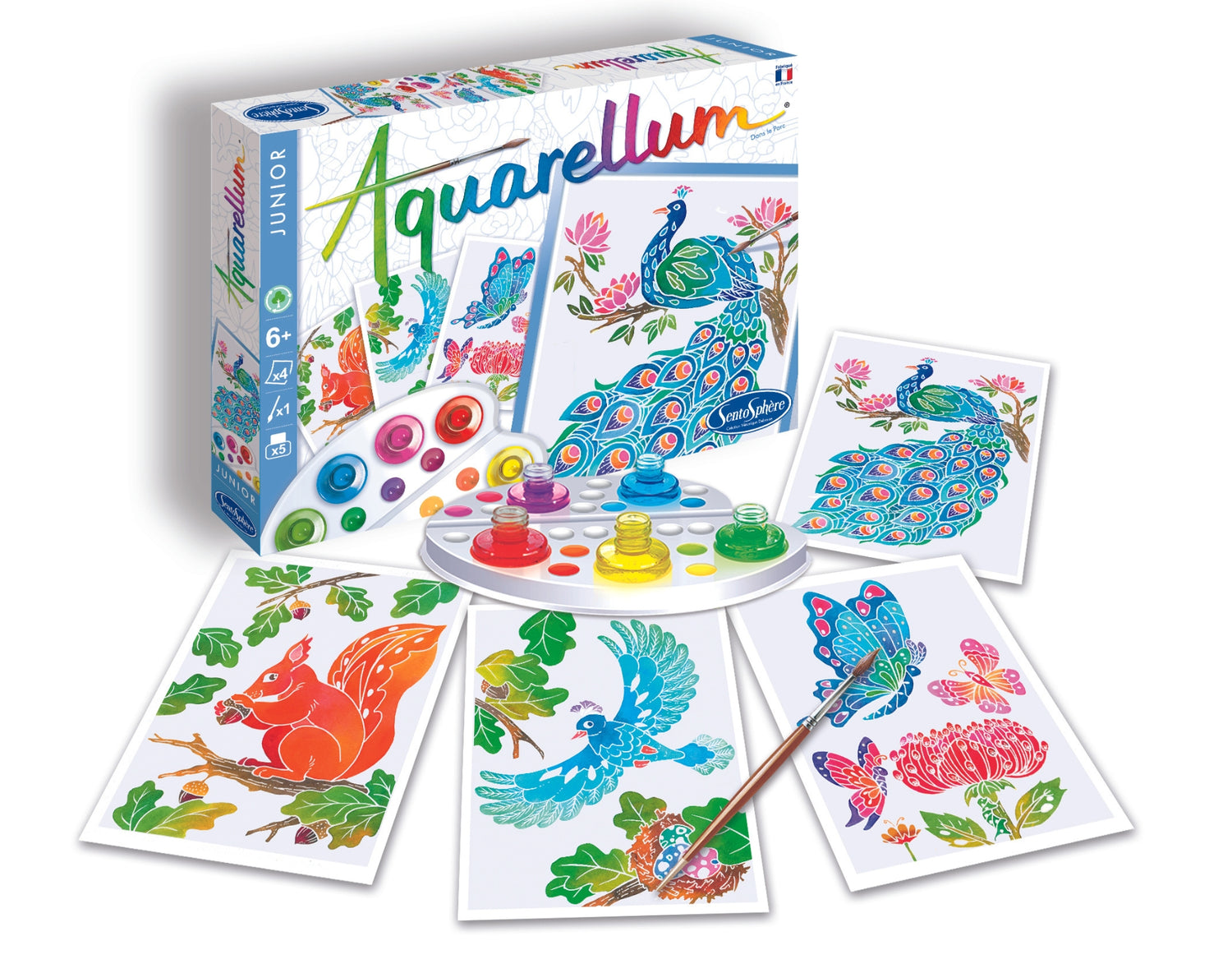 Aquarellum Junior - V parku