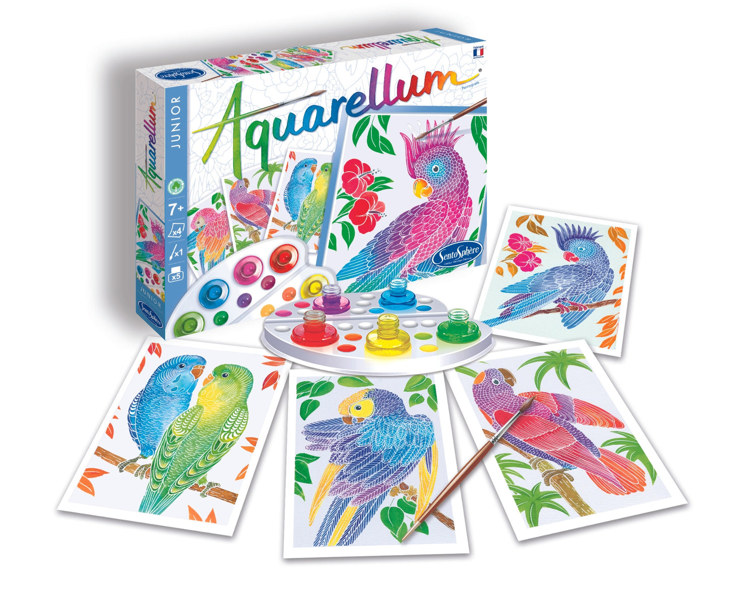 Aquarellum Junior - Papoušci