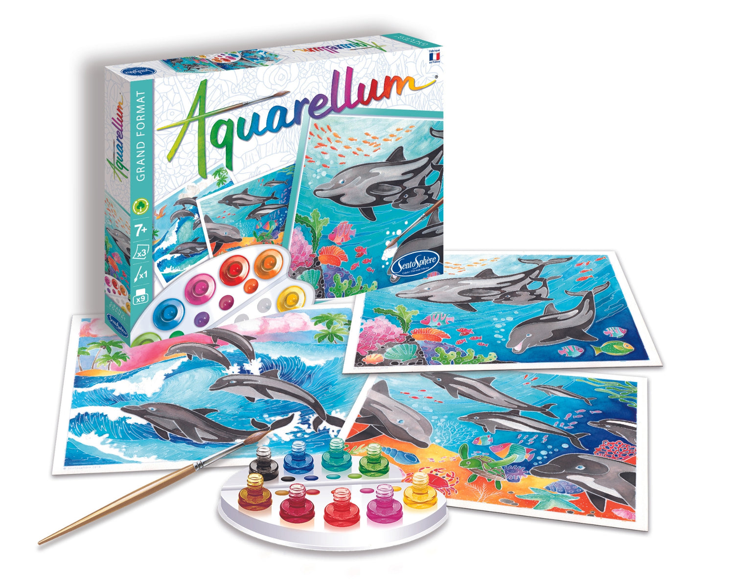 Aquarellum - Delfíni