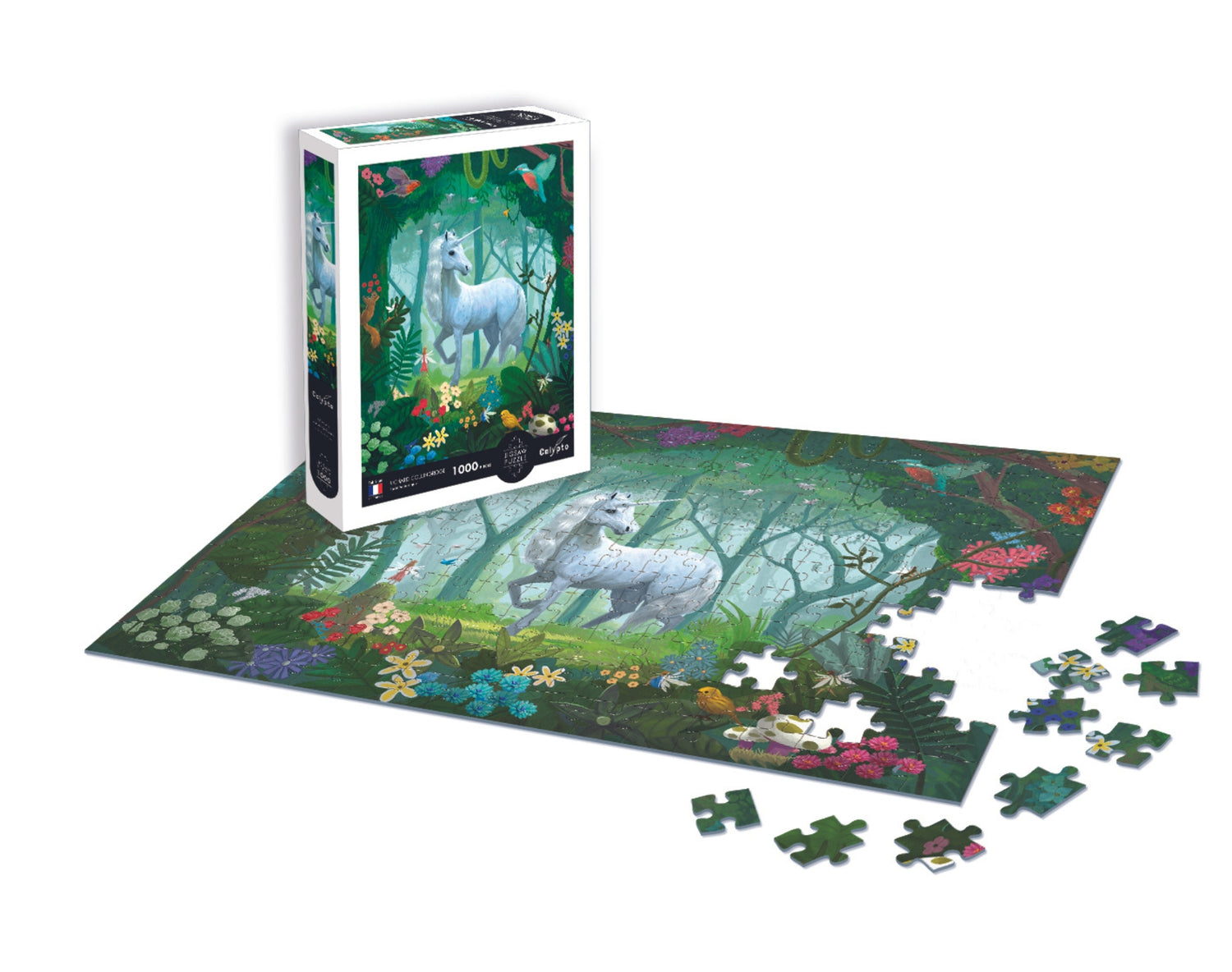 Puzzle 1000 dílků - Začarovaný les - Richard Collingridge