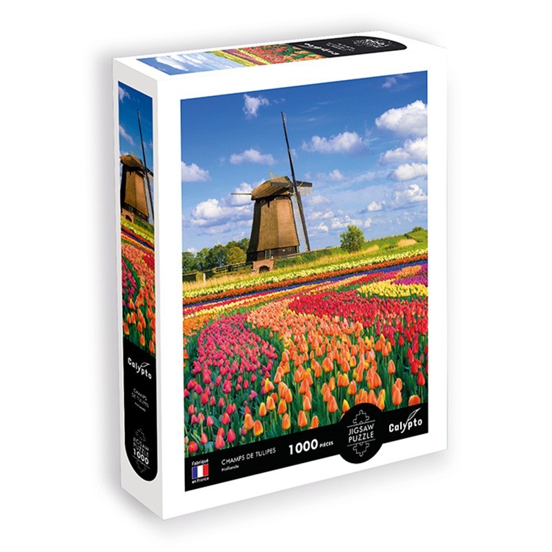 Puzzle 1000 kosov - Pokrajina - Polja tulipanov - Nizozemska